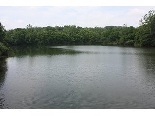 Property photo 16 - 419 +/- Acres offered in 6 Tracts, Land Auction